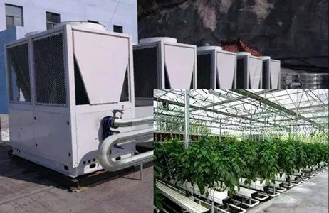 農業(yè)大棚采暖有新招，空氣源熱泵再獲佳話